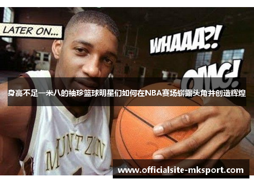 身高不足一米八的袖珍篮球明星们如何在NBA赛场崭露头角并创造辉煌