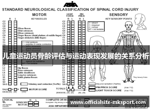 儿童运动员骨龄评估与运动表现发展的关系分析